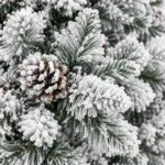 6 ft Flocked Artificial Christmas Tree, 888 Tips