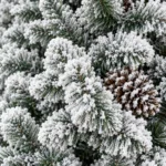 7 ft Flocked Artificial Christmas Tree, 1124 Tips