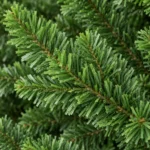 4 ft Unlit Artificial Christmas Tree with Layered Green PE/PVC Foliage, 714 Branch Tips, Hinged Sections and Metal Stand