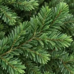 7 ft Unlit Artificial Christmas Tree with Layered Green PE/PVC Foliage, 2,257 Branch Tips, Hinged Sections and Metal Stand