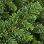 9 ft Unlit Artificial Christmas Tree with Layered Green PE/PVC Foliage, 3,451 Branch Tips, Hinged Sections and Metal Stand