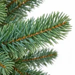 2 ft Unlit Artificial Tabletop Christmas Tree, Blue Green PE/PVC Branches, Rustic Wrapped Base, 65 Tips for Desk and Counter Decor