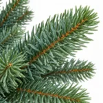 2.5 ft Unlit Artificial Tabletop Christmas Tree, Blue Green PE/PVC Foliage, Rustic Wrapped Base, 110 Tips for Console and Sideboard Decor