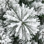 9 ft Flocked Artificial Christmas Tree, 1964 Tips