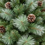 7.5 ft Artificial Christmas Tree, 1588 Tips